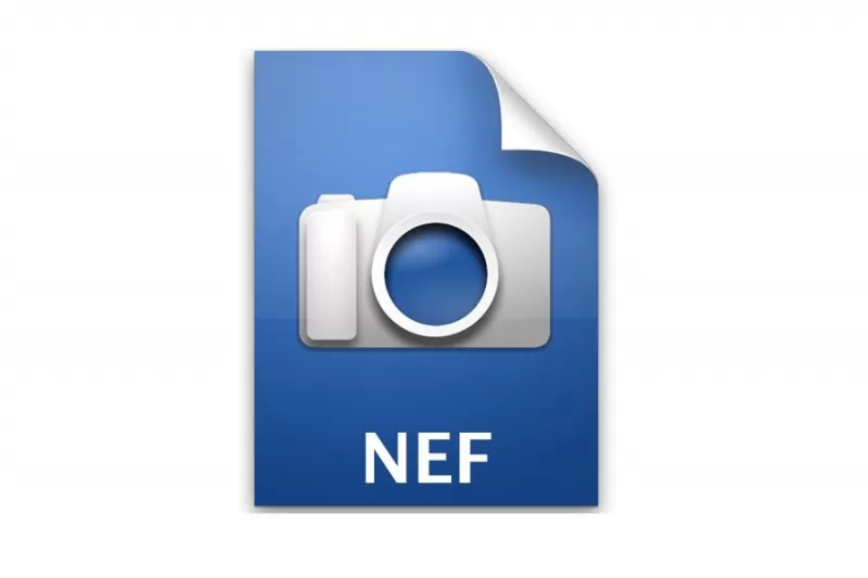 nef открыть