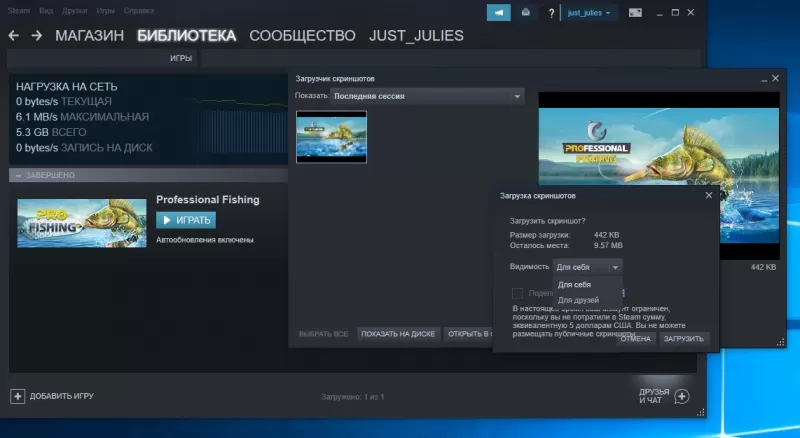 Скачивание скриншотов в стим