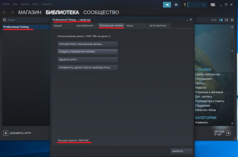 как узнать какая версия игры в стиме
