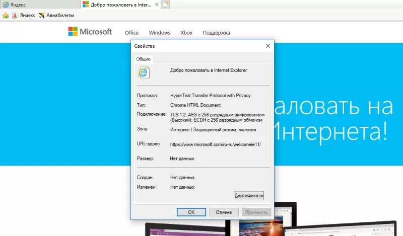 Свойства в браузере Интернет Эксплорер