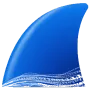 Wireshark для Windows логотип