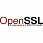 OpenSSL логотип