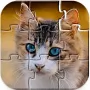 Jigsaw Puzzles Collections логотип