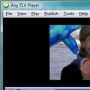 Any FLV Player логотип