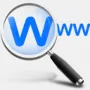 DNSS Domain Name Search Software логотип