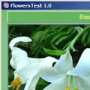 FlowersTest логотип