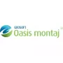 Oasis montaj логотип