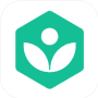 Khan Academy логотип