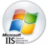 Internet Information Services (IIS) логотип