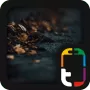 MYCOLORSCREEN Dark Autumn Theme логотип