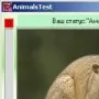 AnimalsTest логотип